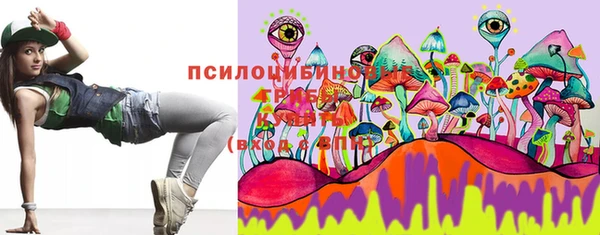 молекула духа Абинск