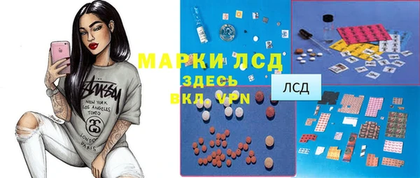 стаф Абаза