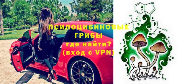 молекула духа Абинск