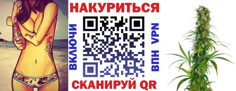 Марихуана план  как найти   Пудож 